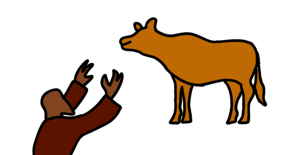  A draiwng of a golden  silhouette of a cow. Next to it is a person with their arms up strecthed as if worshiping the golden calf. The person is wearing a dark reddish brown shirt and has brown skin.